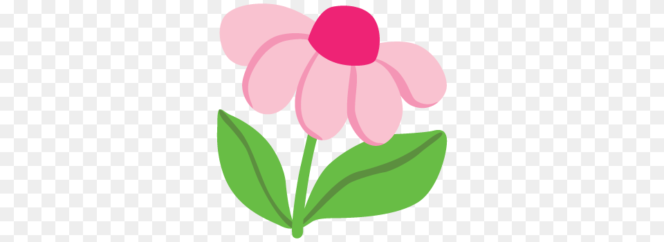 Place Attention On Breathing, Daisy, Flower, Petal, Plant Png