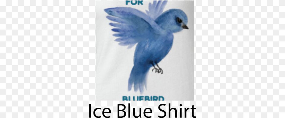 Placecast, Animal, Bird, Bluebird, Jay Png Image