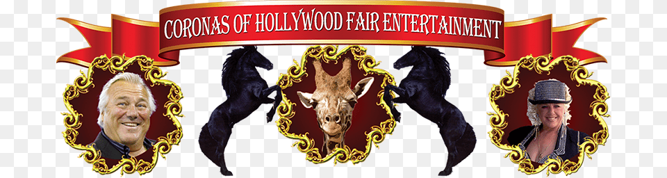Placeholder Hollywood, Leisure Activities, Circus, Adult, Wedding Free Png