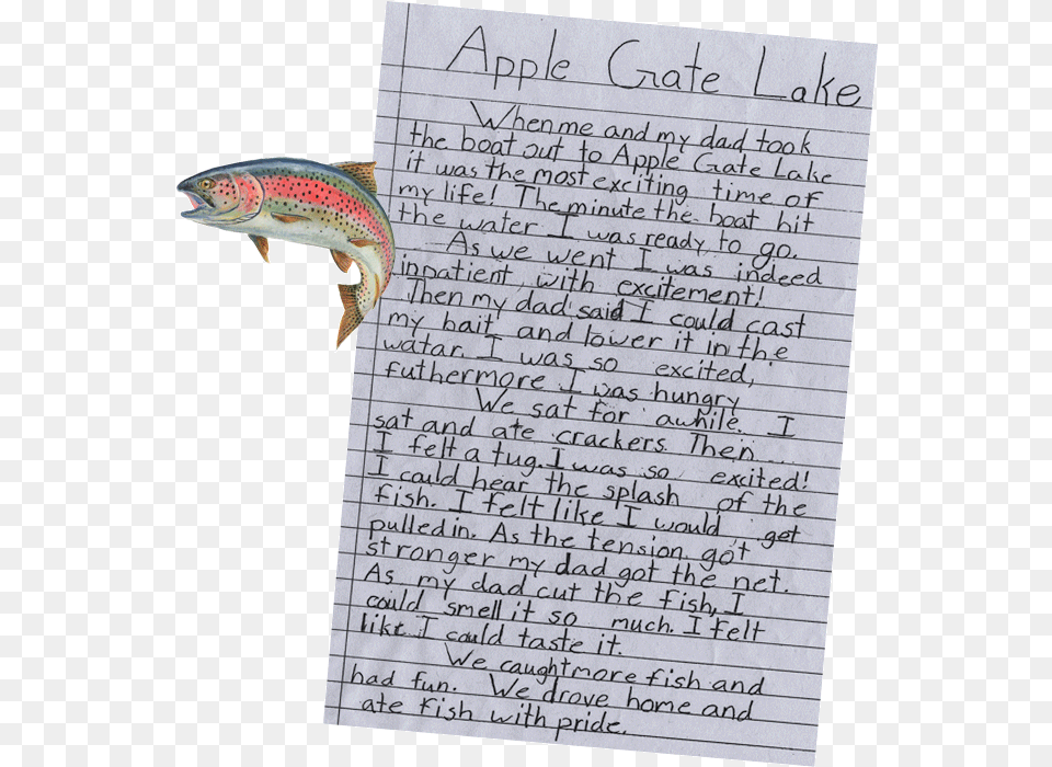Placeholder Image Document, Animal, Fish, Sea Life, Text Png