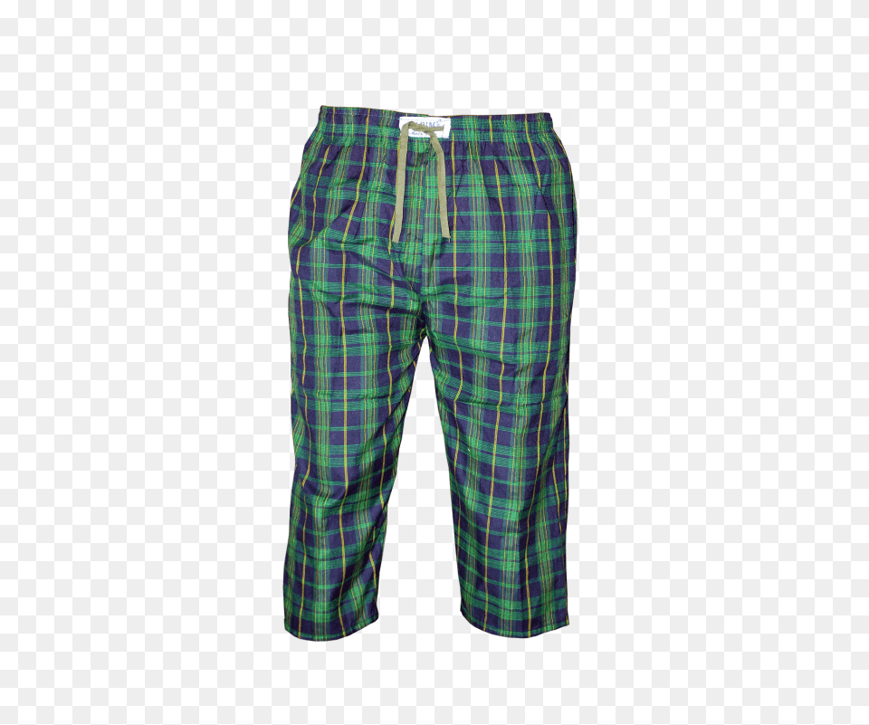 Plaid, Clothing, Pants, Shorts, Tartan Free Png Download