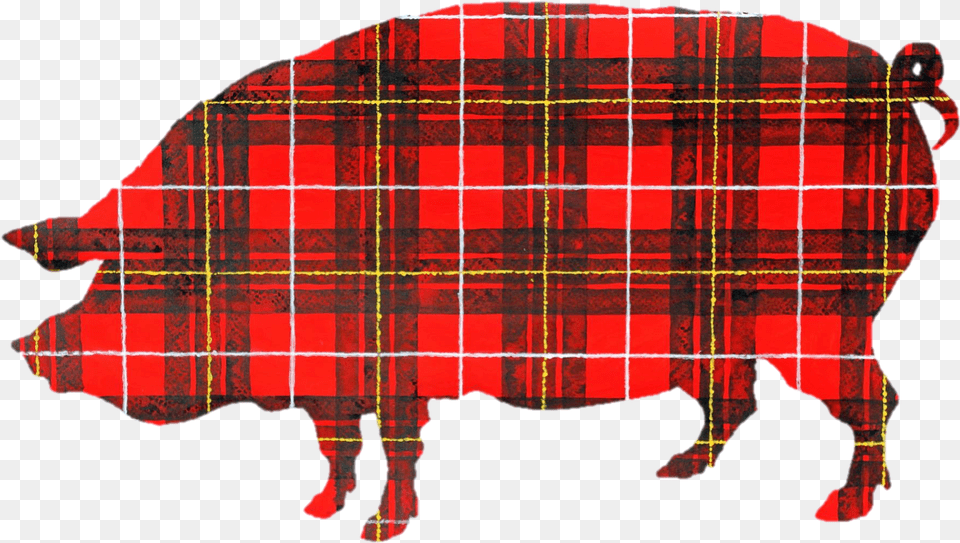 Plaid Pig Public Relations Plaid Pig, Tartan, Person, Clothing, Skirt Png