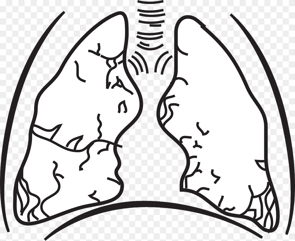 Plain Lungs, Stencil, Home Decor Png