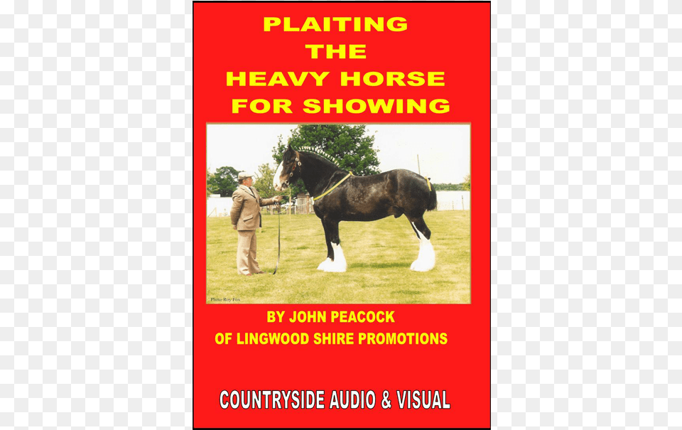Plaiting The Heavy Horse For Showing Gi Oh 3d Bonds Beyond, Adult, Advertisement, Person, Man Png