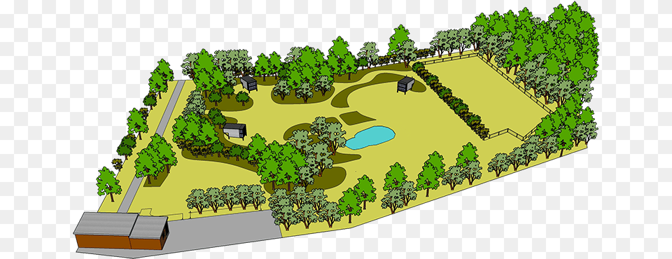 Plan, Fence, Plant, Grass, Hedge Png