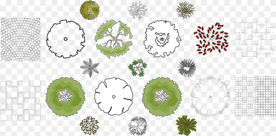 Plan Clipart Landscape Architect Architecture Plan Plant Drawing, Pattern, Leaf, Green, Graphics Free Png