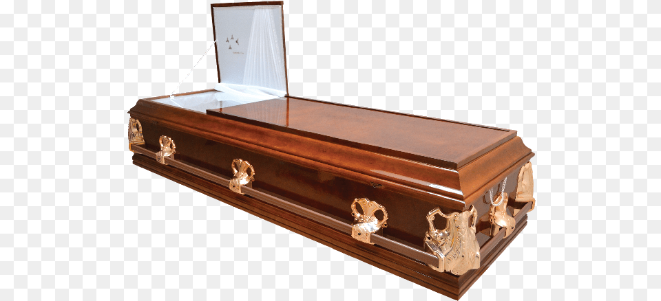 Plan Plata Coffin, Funeral, Person Png Image