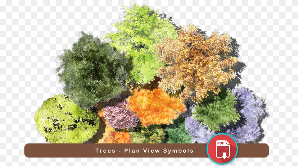Plan Trees, Plant, Vegetation, Moss, Tree Png Image