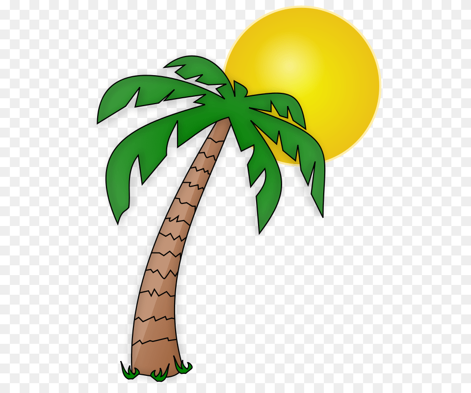 Plane Clip Art Palm Tree, Plant, Tree Free Png Download