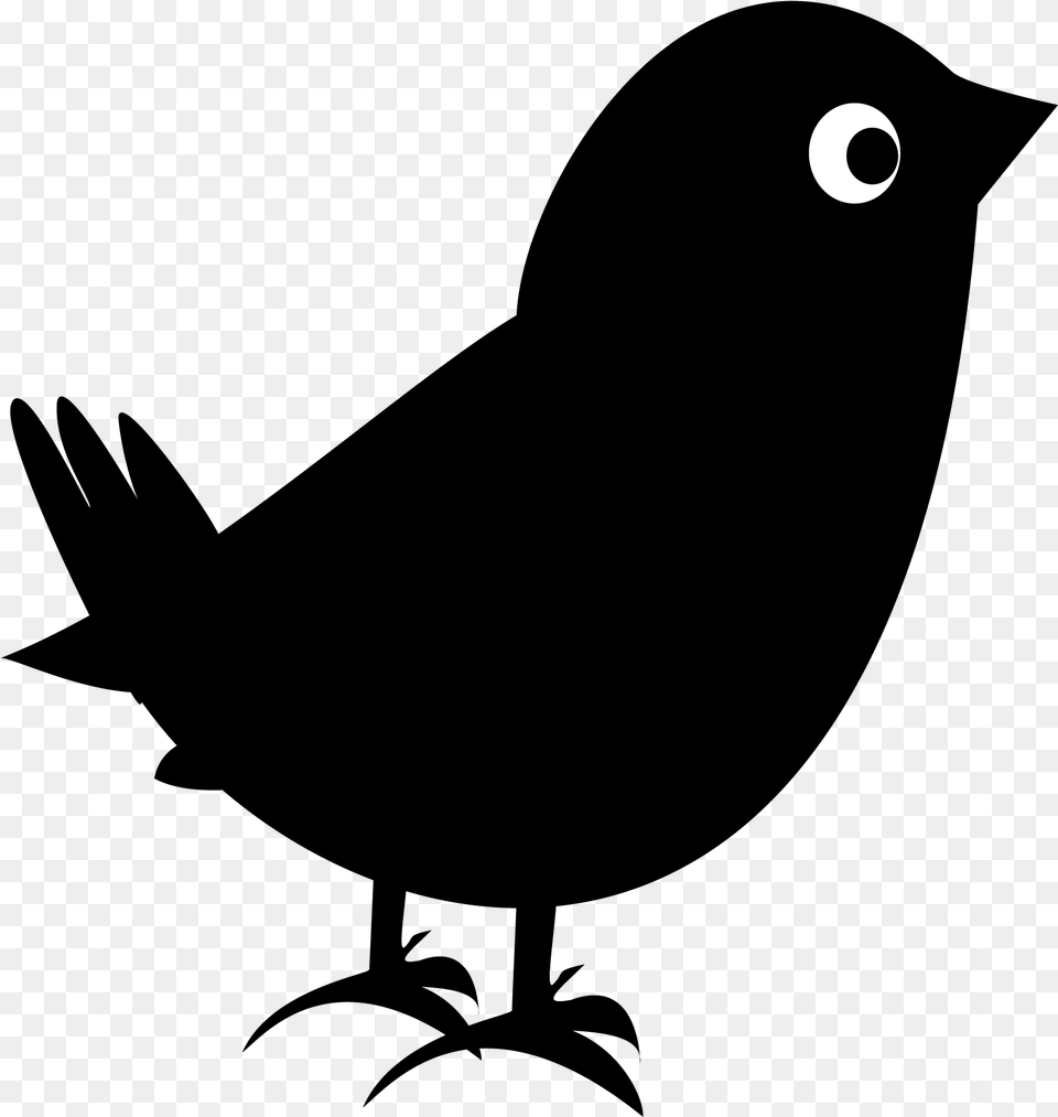 Plane Clipart Blackbird Black Bird, Gray Free Png