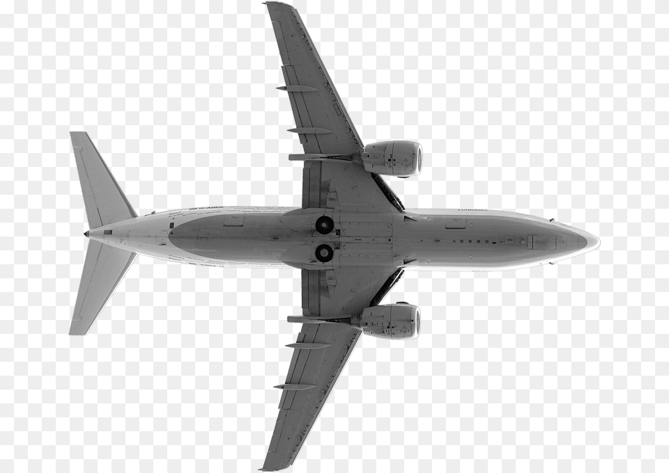 Plane From Bottom, Aircraft, Airliner, Airplane, Animal Free Transparent Png