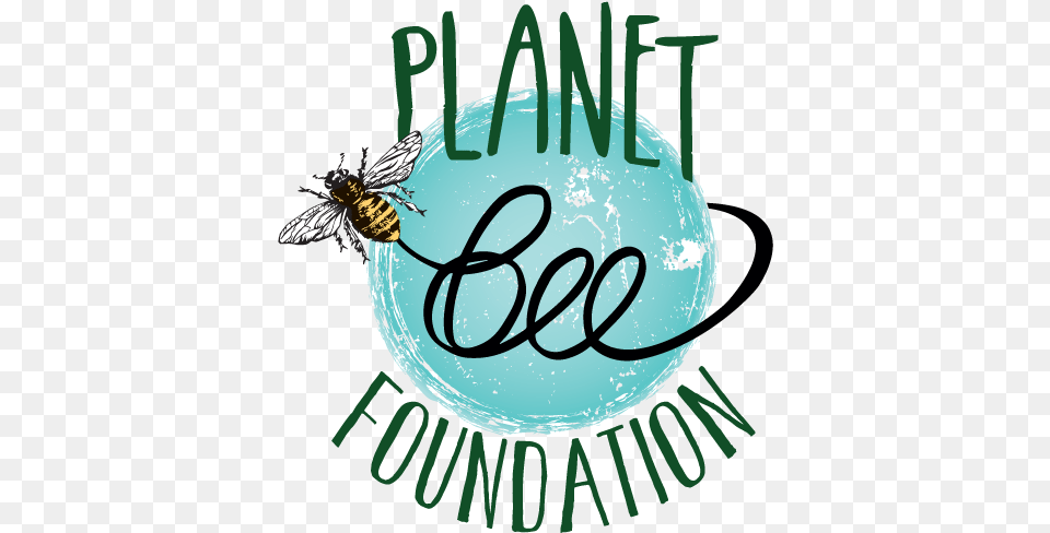 Planet Bee Foundation Graphic Design, Animal, Insect, Invertebrate, Wasp Free Transparent Png