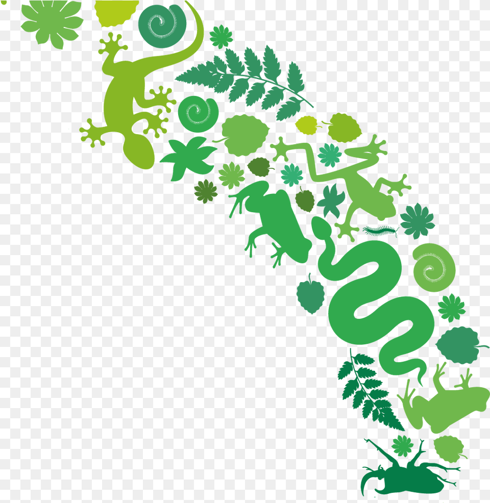 Planet Clipart Green Planet Cartoons, Art, Graphics, Floral Design, Pattern Free Transparent Png