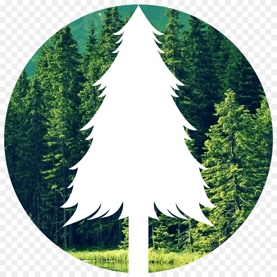 Planet Green Recycle, Tree, Plant, Fir, Vegetation Free Transparent Png
