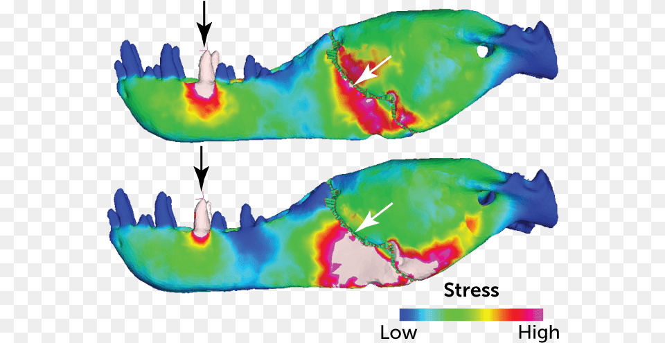 Planet Neuroscientists Drawing, Nature, Outdoors, Sea, Water Free Png
