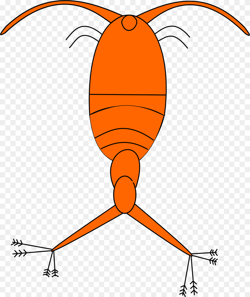 Plankton Clipart, Carrot, Food, Plant, Produce Free Png Download