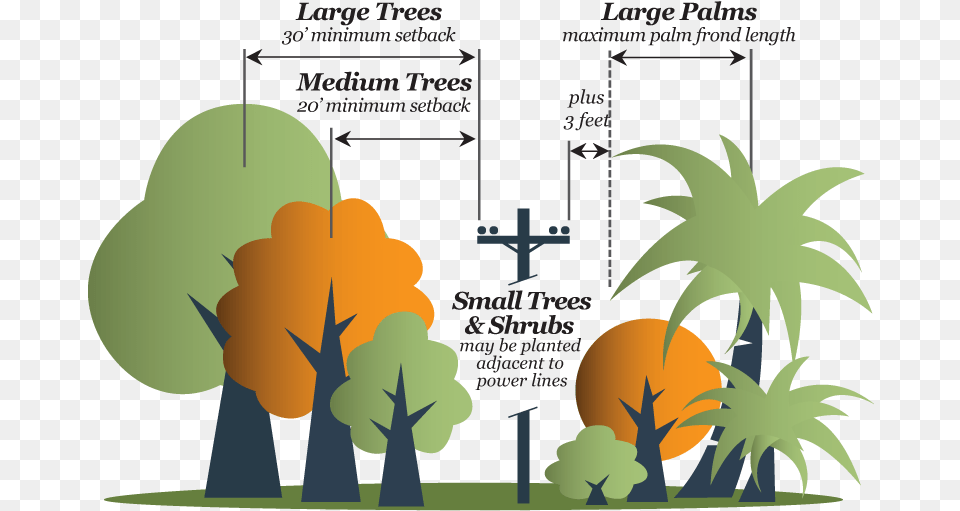 Planning Designworks Urban Forestry Place Illustration, Plant, Vegetation, Art, Graphics Png