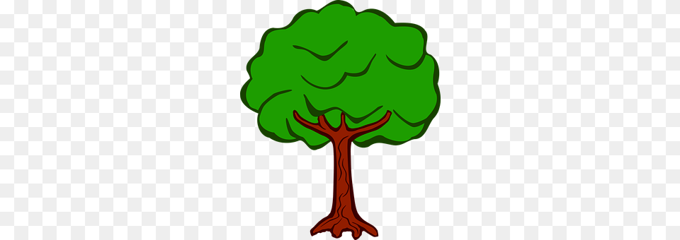 Plant Tree, Green Free Transparent Png