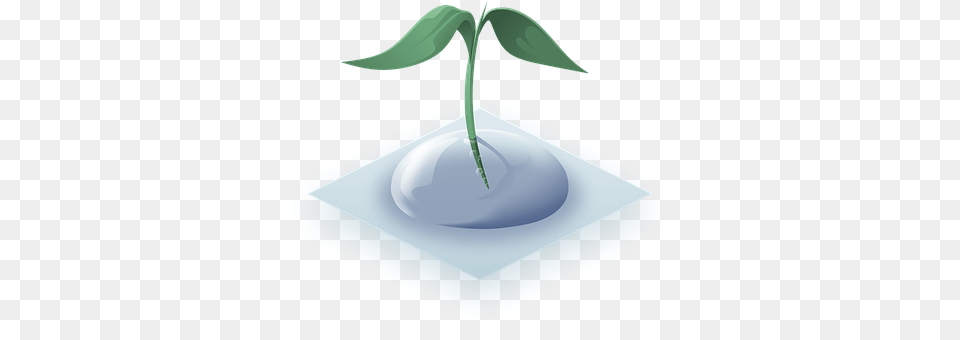 Plant Leaf, Jar, Pottery, Vase Free Png