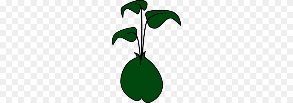 Plant Green, Symbol Png