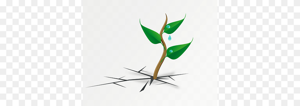 Plant Leaf, Sprout, Animal, Fish Free Png Download