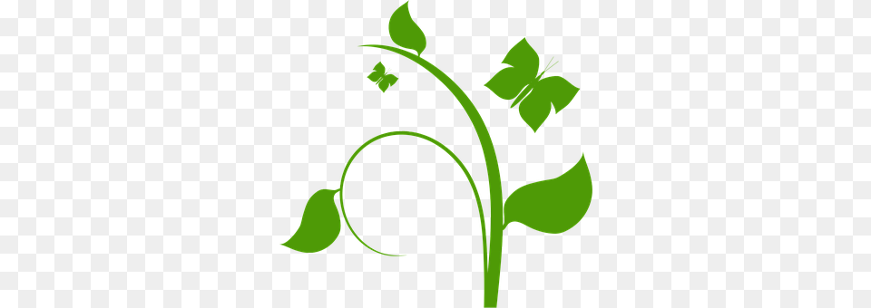Plant Green, Art, Floral Design, Graphics Free Png Download
