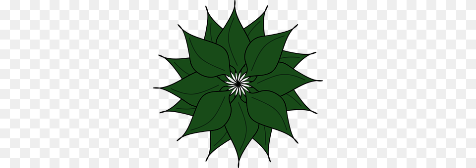 Plant Pattern, Leaf, Green, Graphics Free Png