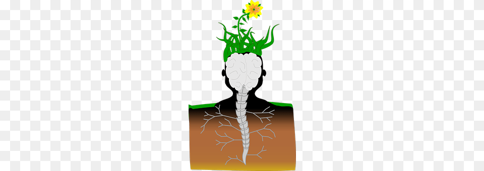 Plant Free Transparent Png