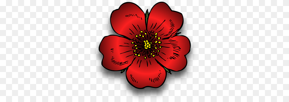 Plant Anemone, Anther, Flower, Petal Free Png