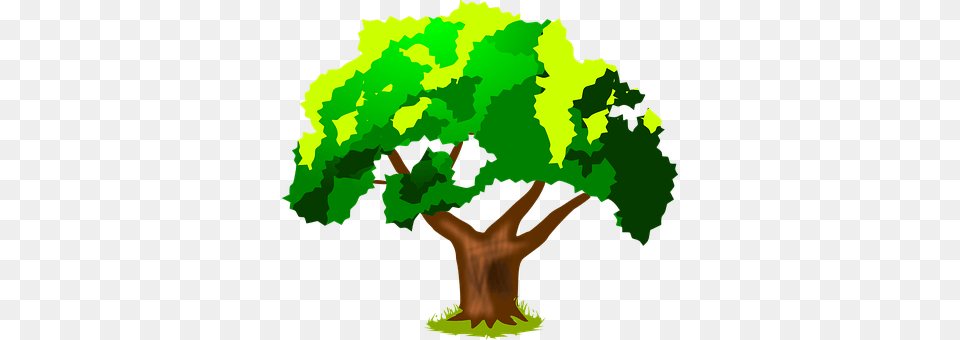 Plant Green, Tree, Vegetation, Person Png Image