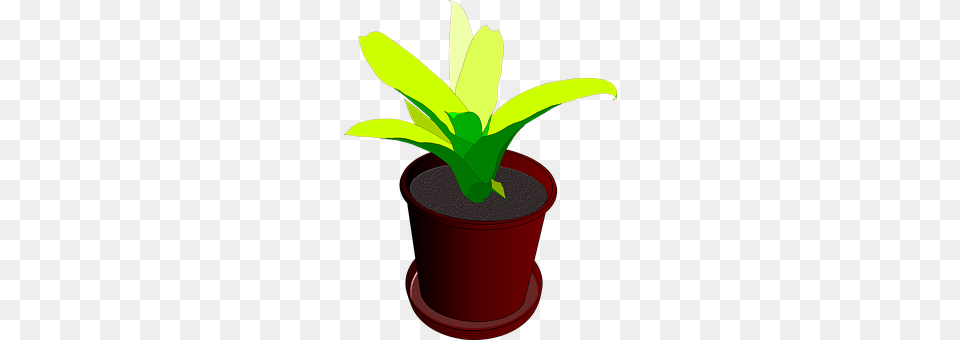 Plant Leaf, Potted Plant, Smoke Pipe Png Image