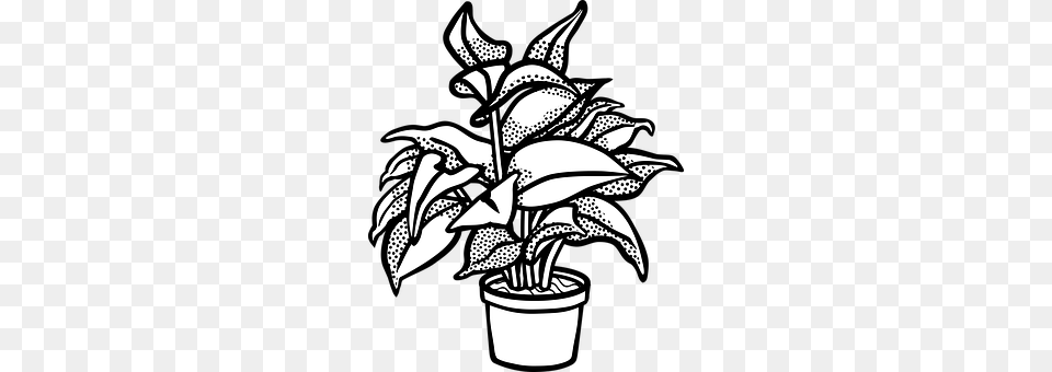 Plant Leaf, Potted Plant, Stencil, Art Free Transparent Png