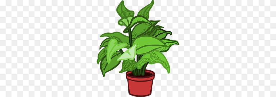 Plant Leaf, Potted Plant, Flower, Green Png Image