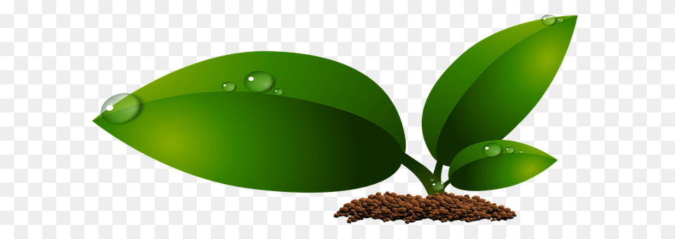 Plant Green, Leaf, Appliance, Ceiling Fan Free Transparent Png