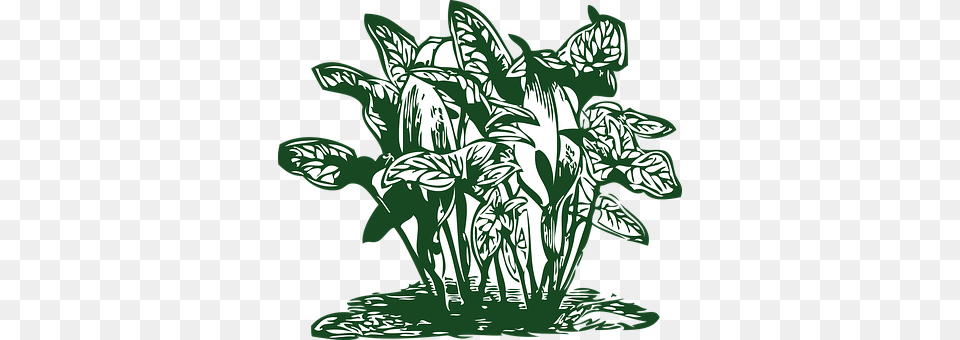 Plant Art, Green, Leaf, Vegetation Free Png