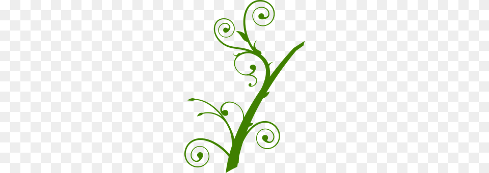 Plant Art, Floral Design, Graphics, Pattern Free Png