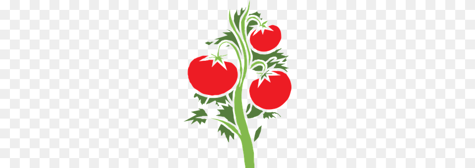 Plant Food, Produce, Tomato, Vegetable Png Image