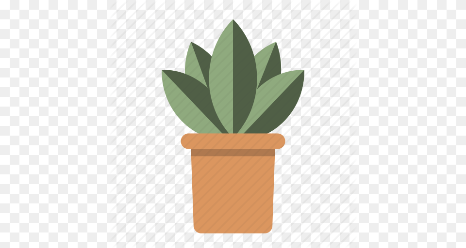 Plant, Leaf, Potted Plant, Jar, Planter Png Image