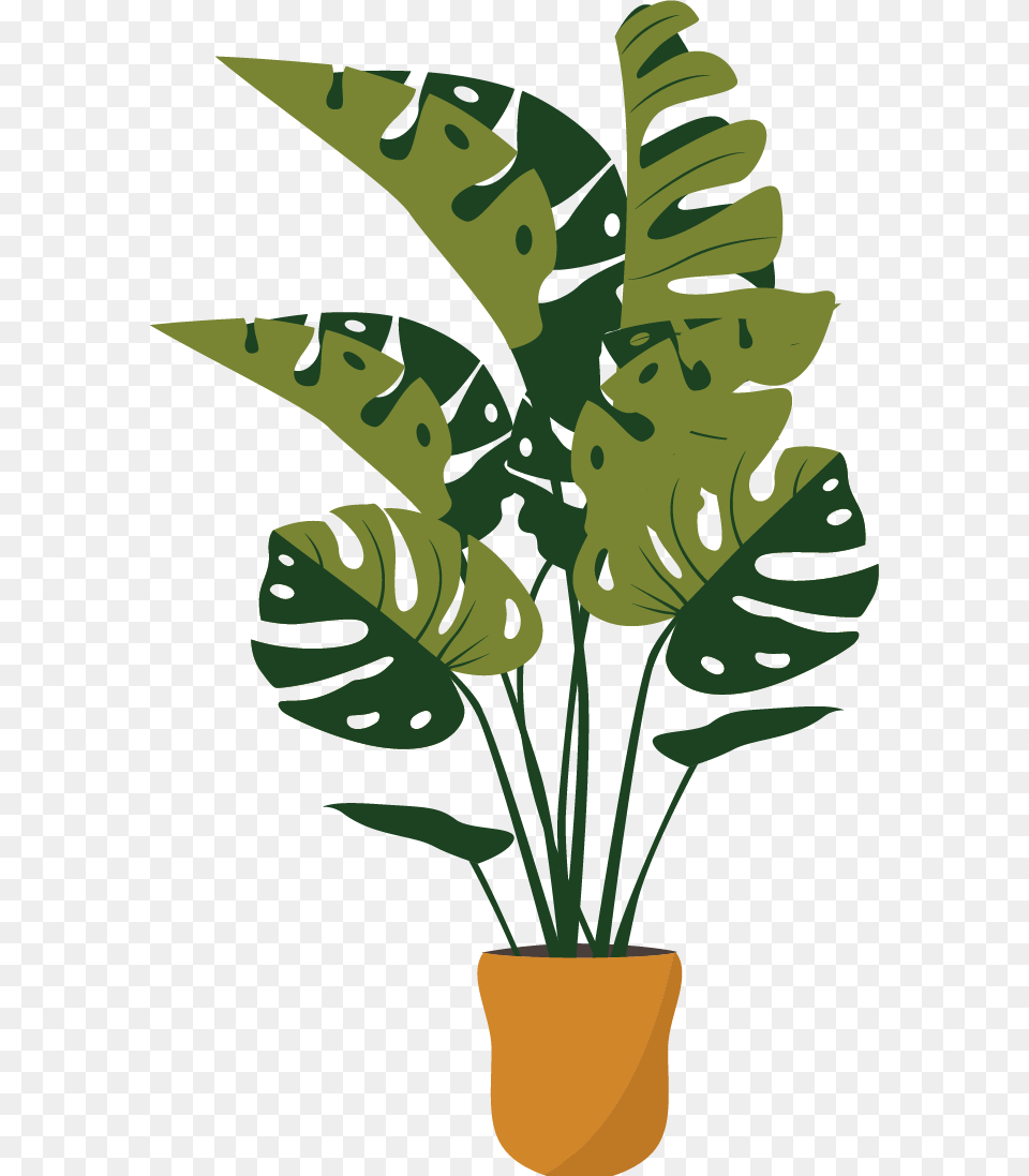Plant, Leaf, Potted Plant, Palm Tree, Tree Free Transparent Png