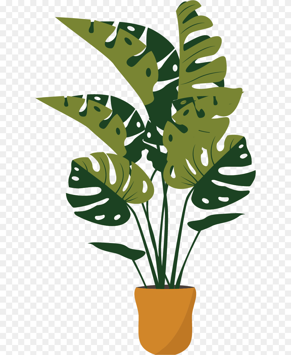 Plant, Leaf, Potted Plant, Palm Tree, Tree Png Image