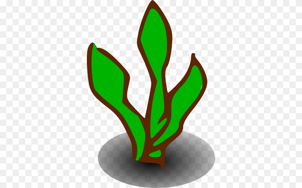 Plant, Leaf, Smoke Pipe, Herbal, Herbs Png