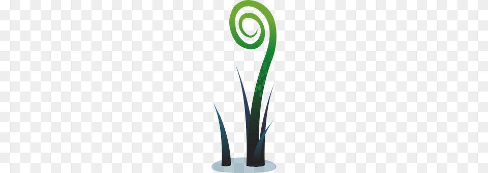 Plant Art, Graphics, Spiral, Coil Png Image