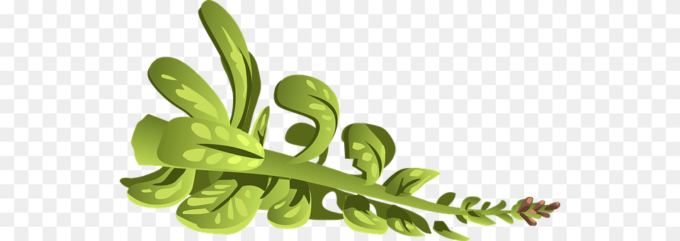 Plant Leaf, Green, Art, Graphics Free Png