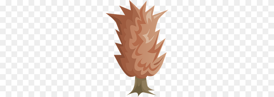 Plant Leaf, Person, Fire Png