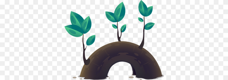 Plant Nature, Outdoors, Inflatable, Snow Free Png Download