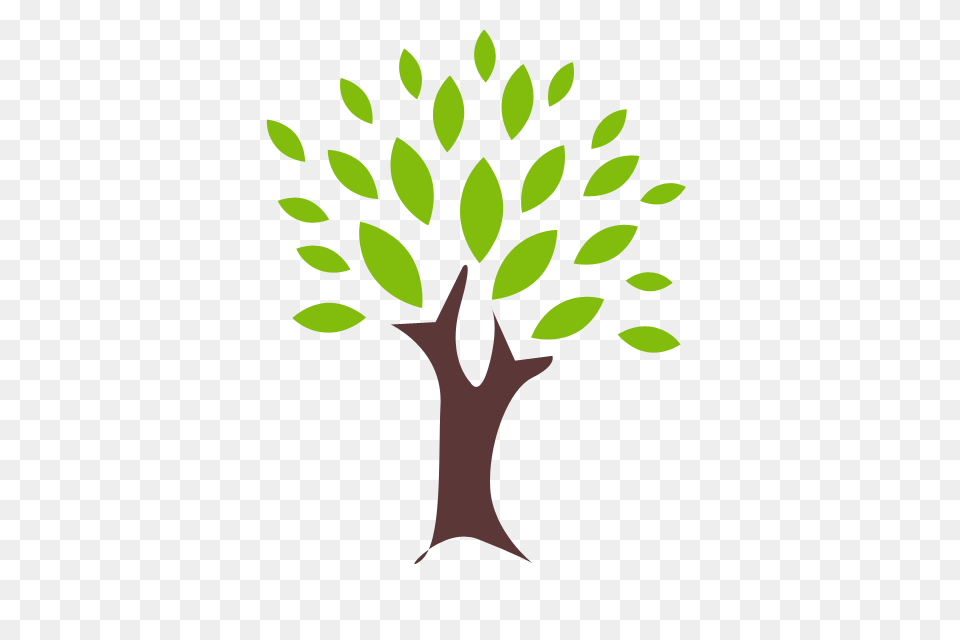 Plant, Green, Potted Plant, First Aid, Jar Free Transparent Png