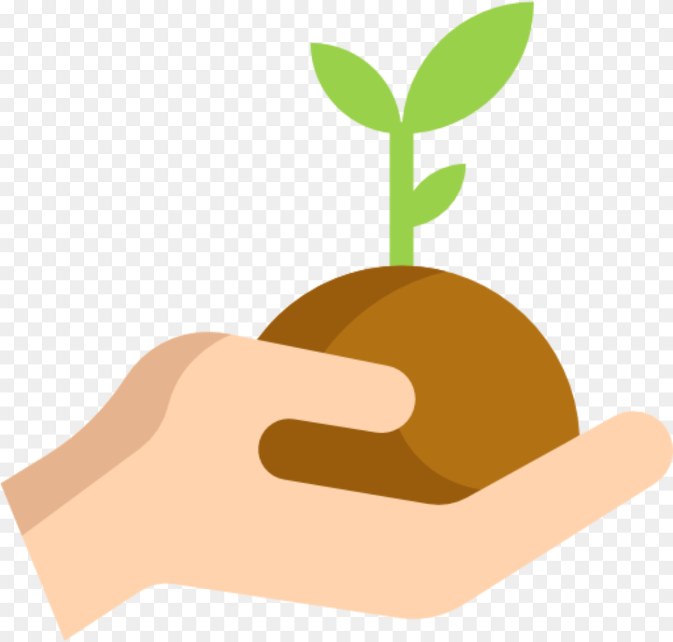 Plant A Tree Icon Clipart Download Plant Growing In Hand Icon, Food, Fruit, Produce, Leaf Free Transparent Png