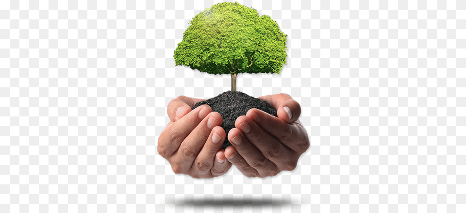 Plant A Tree Or Forest Green India Clean India Logo, Soil, Person, Moss, Hand Free Png Download