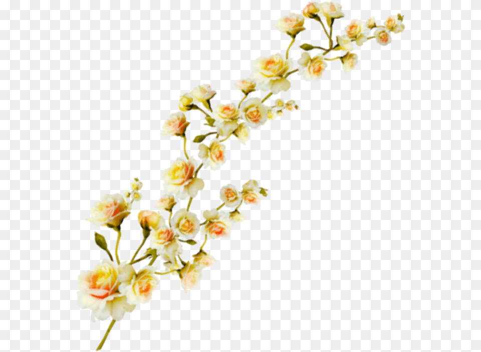 Plant Aesthetic Clipart Download Ya Yellow Flowers Aesthetic, Flower, Flower Arrangement, Petal, Rose Png Image
