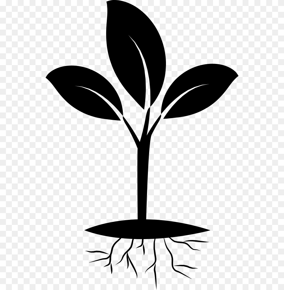 Plant And Root Icon Download Free Png